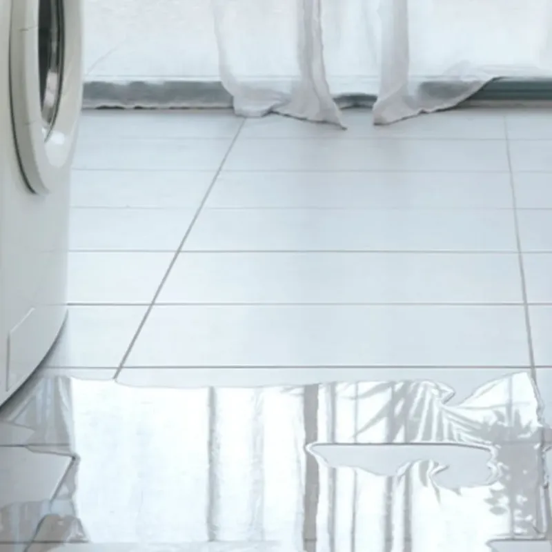 Appliance Leak Cleanup in Arcadia, WI