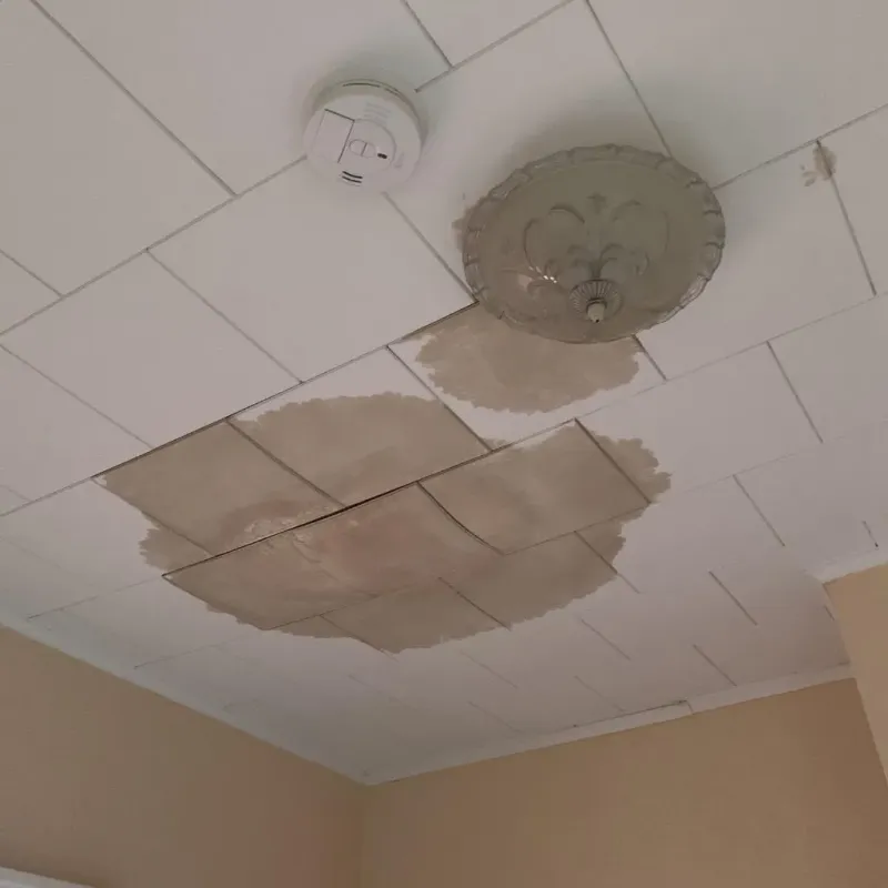Ceiling Water Damage Repair in Arcadia, WI
