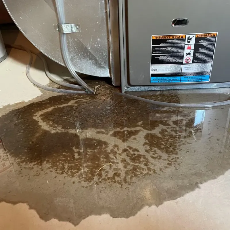 Pipe Burst and Leak Restoration in Arcadia, WI